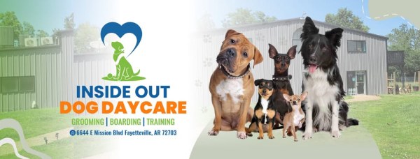 Inside Out Dog Daycare and Training