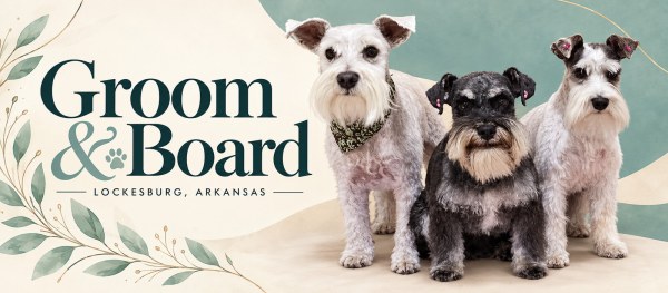 Groom & Board