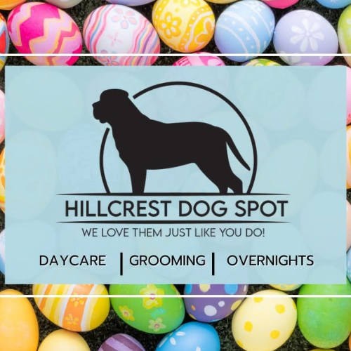 Hillcrest Dog Spot logo