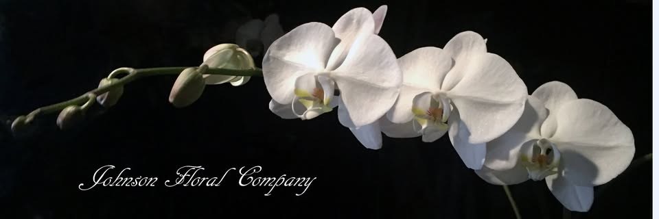 Johnson Floral Co.